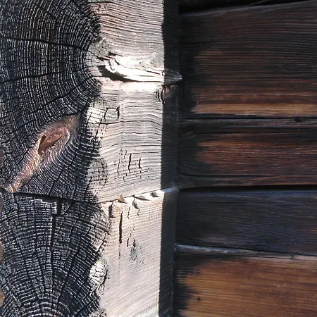 Alpia 26 - Zwei Zimmerwohnung In Traditionellem Walliser Haus Daire *