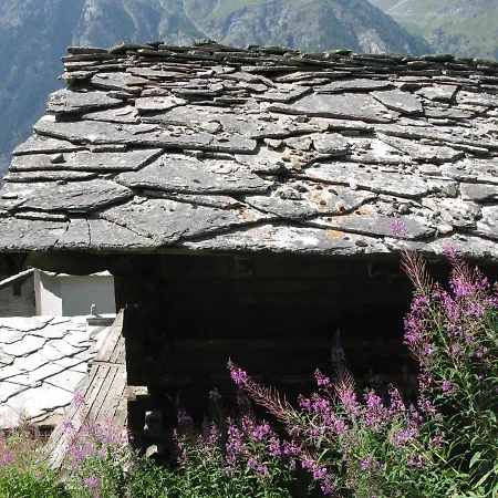 Alpia 26 - Zwei Zimmerwohnung In Traditionellem Walliser Haus