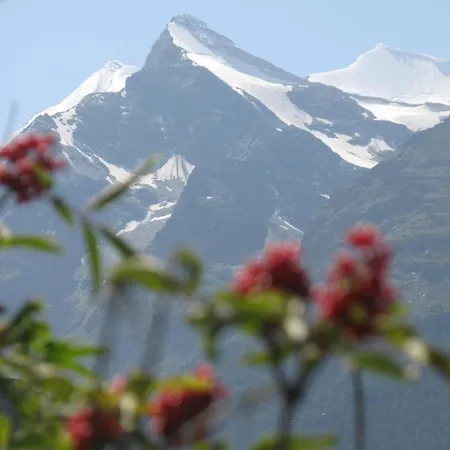 Alpia 26 - Zwei Zimmerwohnung In Traditionellem Walliser Haus Gasenried