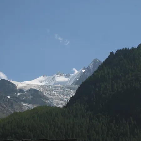 דירה Alpia 26 - Zwei Zimmerwohnung In Traditionellem Walliser Haus *